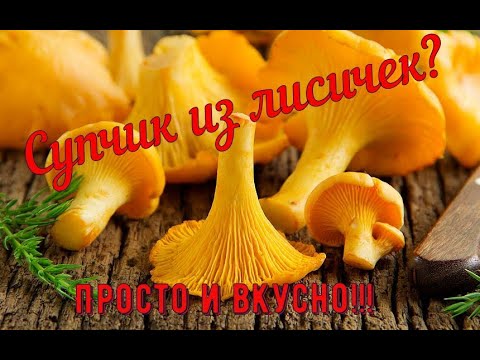 Супчик из лисичек? Просто и вкусно!