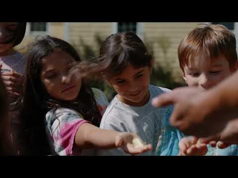 Discover The Pennfield School