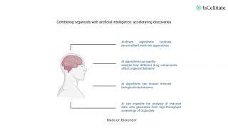 Ethical and legal considerations of organoid Research