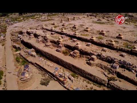 البث المباشر لبرنامج صباح الصياهد اليوم الثامن