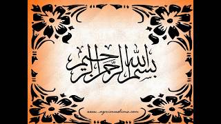 Verbal Intelligence Test 3