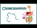 Cholecystokinincck  structure  function and mode of action