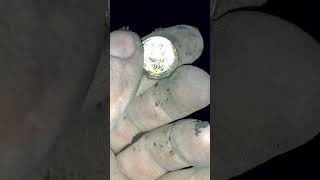 Приємна знахідка. Коп монет 2022 #shorts  #garrett #монети #коп