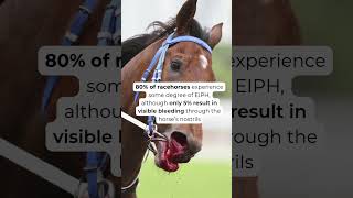 Eight Rachorses Bleeding from the Lungs