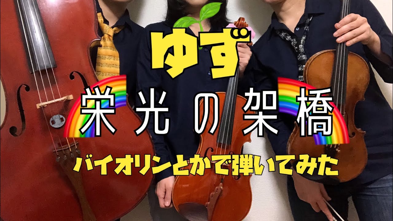 貴重本 ヴァイオリンの栄光 貴重本 ヴァイオリンの栄光 貴重本