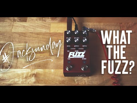 THE FUZZ IS