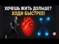 Как замедлить старение: секрет быстрой ходьбы и длинных теломер 🧬