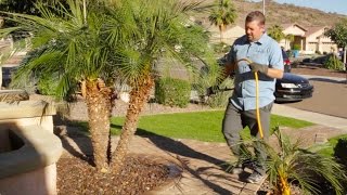 Protect Your Home - Urban Desert Pest Control