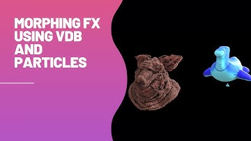 Morphing FX Using VDB And Particles