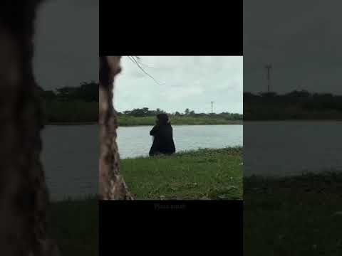 كان بدي غي ر العالم مشروع ليلى  حالات   