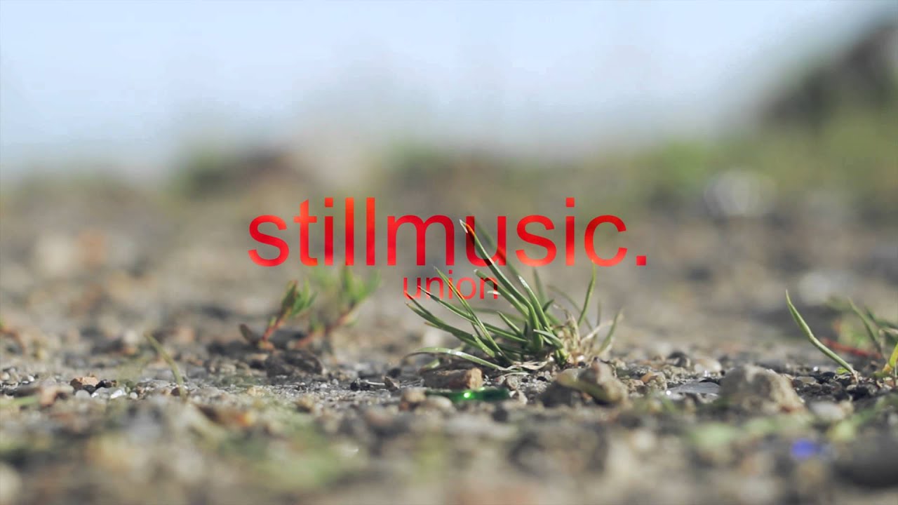 Bronx Honk - Marc Jackson Burrows and Lee Dagger AKA Bimbo Jones