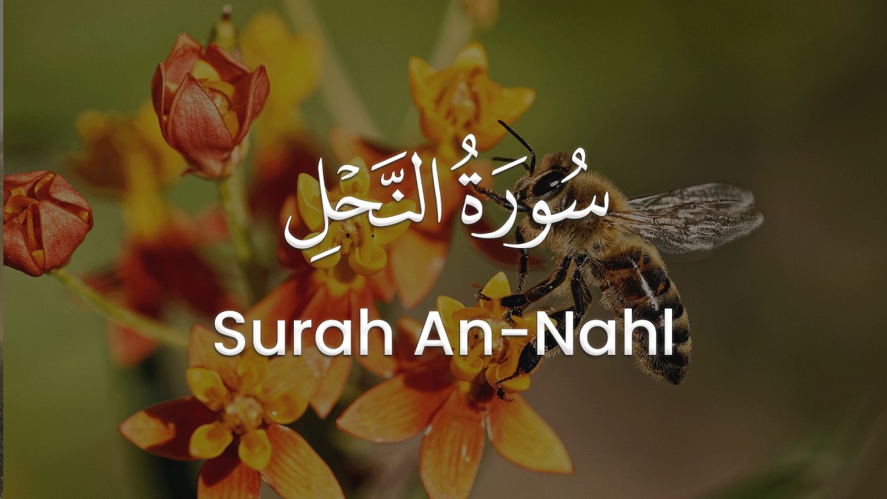 سورة النحل للشيخ محمد مقاتلي الإبراهيمي | المصحف المرتل