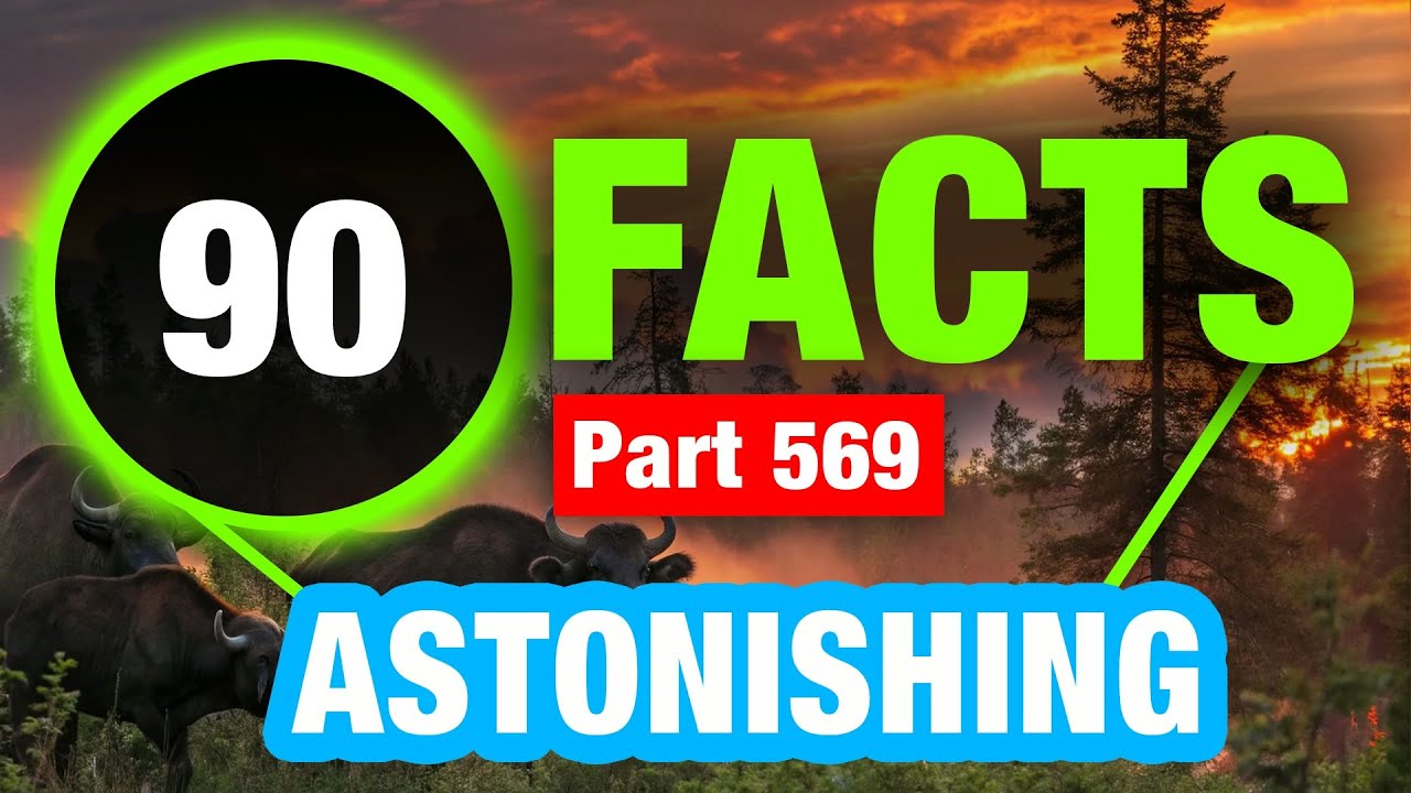 90 Facts You Won’t Believe | Mind Blowing Random Facts
