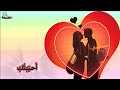 احببتكي 