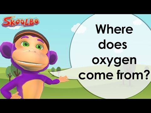 וִידֵאוֹ: מה המשמעות של חמצן לילדים?