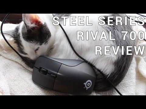 Steelseries Rival 700 Review - The worst mouse ever?