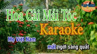 Hoa Cài Mái Tóc - Karaoke Dan Nguyen || Beat Chuẩn