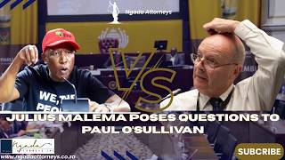 Julius Malema grills Paul O’Sullivan during the Ad Hoc Committee