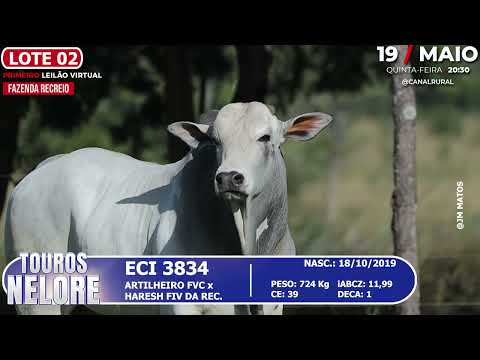 LOTE 02   ECI 3834