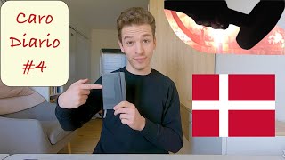 È semplice imparare il danese? #4 CaroDiario screenshot 2