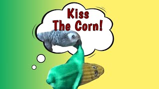 Einstein! Kiss the Corn! by Einstein Parrot 1,793 views 3 weeks ago 3 minutes, 39 seconds
