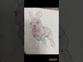 a cute bunny using aquarel #art