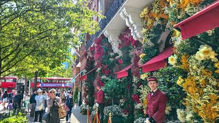 LONDON: CHELSEA IN BLOOM 2024 🍓 ‘Floral Feasts’ Flower Displays, Kings Road \& Sloane Square 🌺 4K HDR