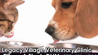Legacy Village Veterinary Clinic - Dog & Cat Grooming & Boarding, Tiffany A Shurtz DVM- Plano, TX