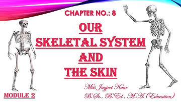 Standard: VI  , Subject: Science , Topic: Our Skeletal system and the skin - module 2