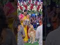 #sorry#sorry #love #lifeisbutadream #wedding #photoshoot #cute #cutedog