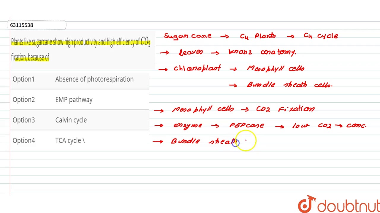 Factors that affect the rate of photosynthesis in plants are dependent on the