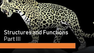 Part III: Structures and Functions