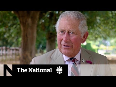 Prince Charles at 70: what kind of King could the Prince of Wales be? | Dispatch