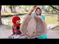 3 kg size শাপলা পাতা মাছের (sitngray fish) তেলঝাল রান্না||amazing fish cutting skill