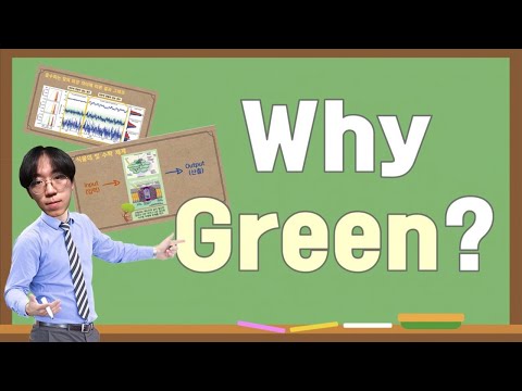 Why green? - 12기 이제민 [2021 1학기 JUNTO 세미나 대표작]