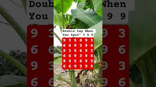 Double Tap When You Spot 3 9 9