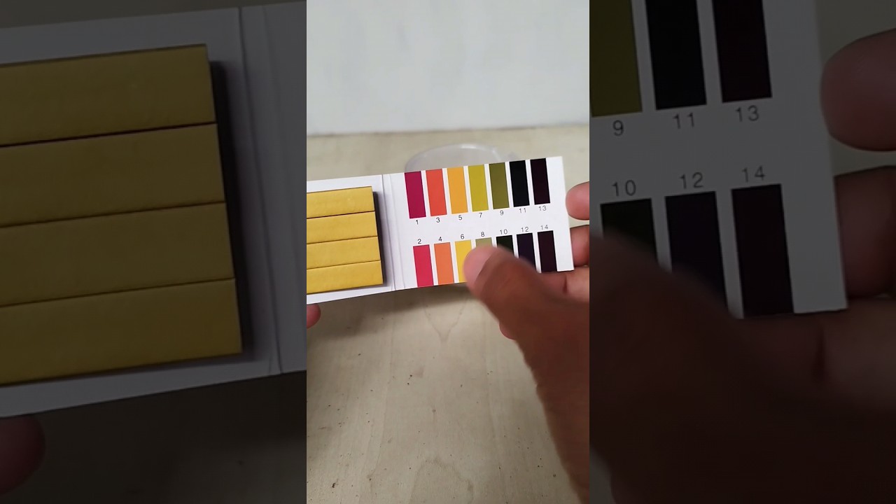 pH paper experiment 