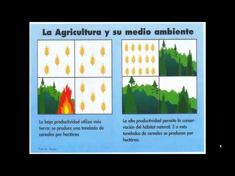 Video: Protección Vegetal Por Métodos Biológicos. Comienzo