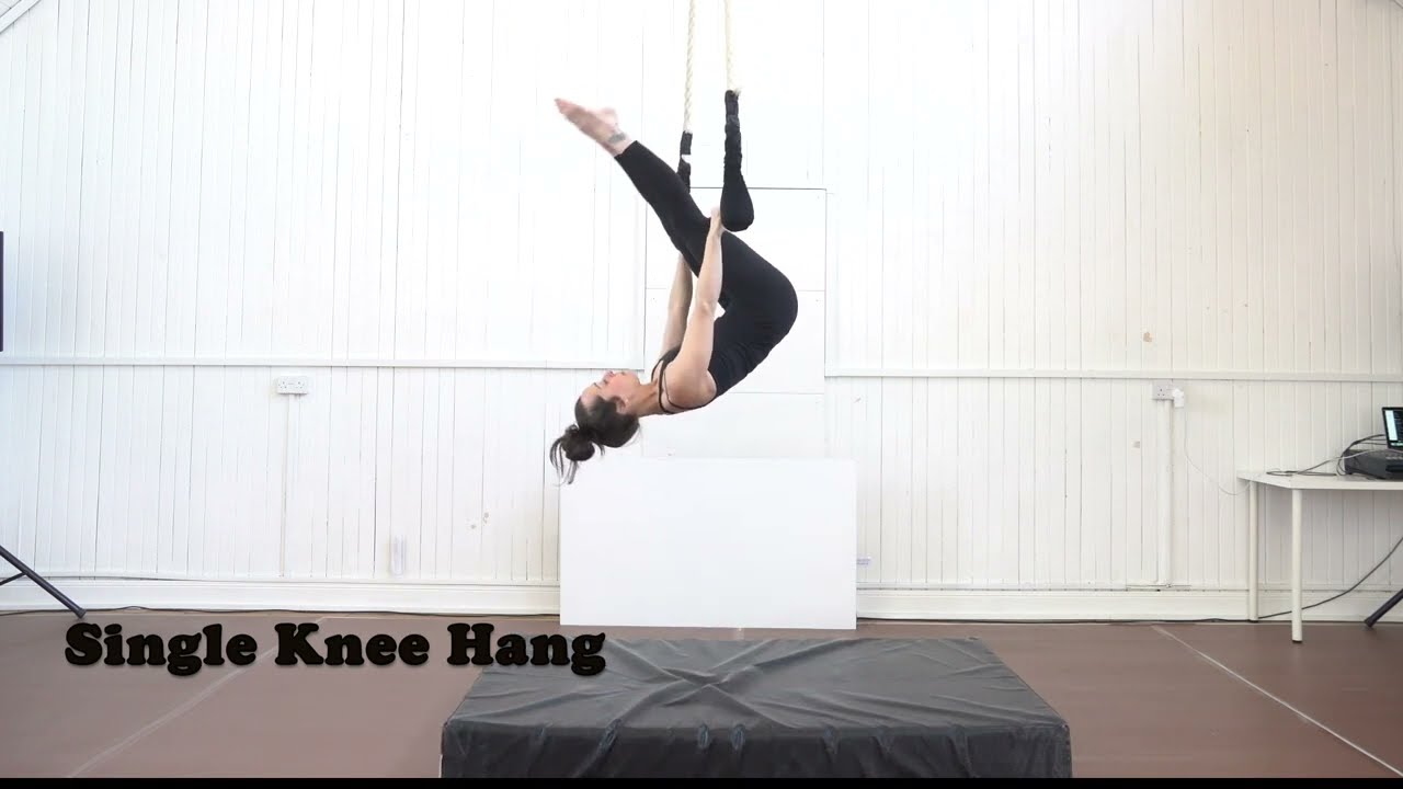 Level 2 Trapeze Audition Reference Video