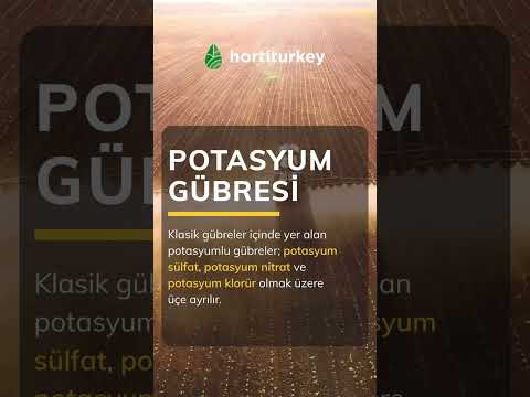 Video: Potas gübrəsi nədir?