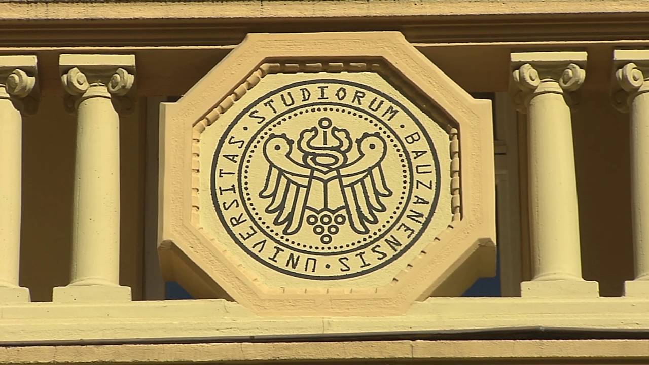 scienze della formazione primaria unical Riorganizzazione corso di laurea in Scienze della Formazione primaria