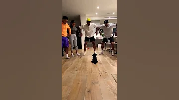 حاول ألا تموت من الضحك أفضل فيديو مضحك جدا الضحك حتي الموت 