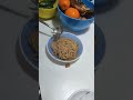 cucino la pasta con tonno ponodoro il solito
