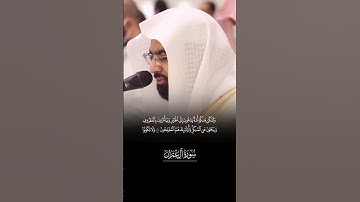 تلاوة لما تيسر من #سورة_آل_عمران للشيخ #ناصر_القطامي