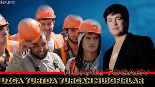 Нурали Тогаев - Узга Юрта Юрган Мусофирлар (Премьера Клипа 2024 )