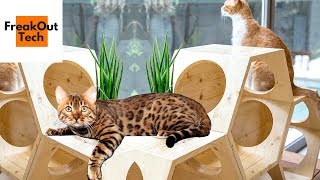 5 Incredible Gifts Your Cat Will Love
