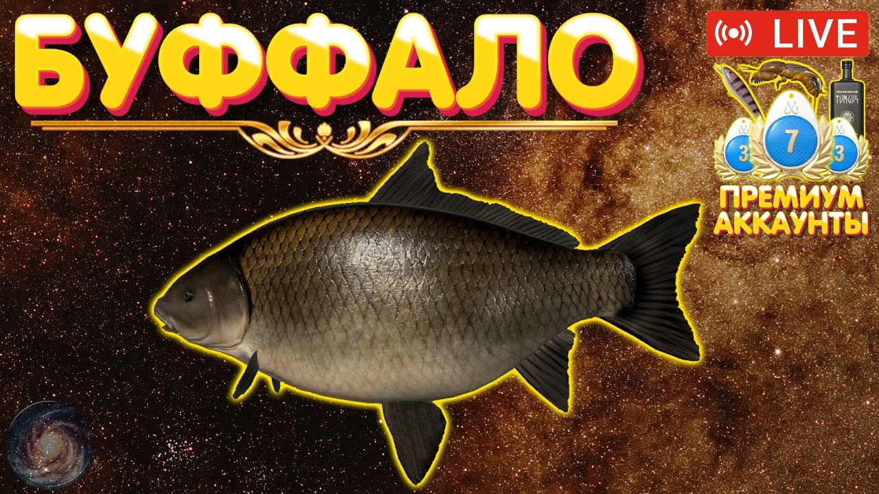 Буффало - Ахтуба 🔥 Розыгрыш ПРЕМОВ и ЗОЛОТА 🔥 Рулетка 🔥 Турниры 🔥 ...