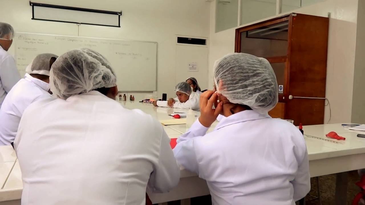 accion comparativa de enzimas parte 2