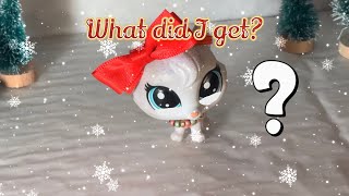 LPS package unboxing episode 14