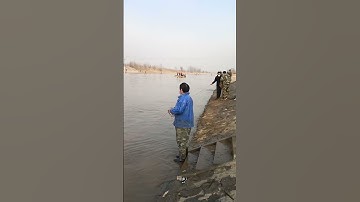 How to throw a cast net  Fishing Net a lot of fish #short 5